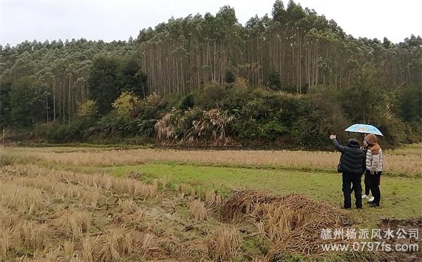 十堰市陈老师带着爱徒寻龙点穴